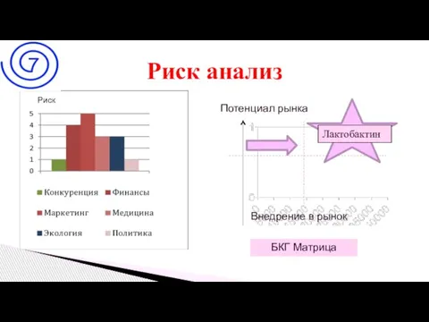 Риск анализ Внедрение в рынок Потенциал рынка Лактобактин БКГ Матрица Риск