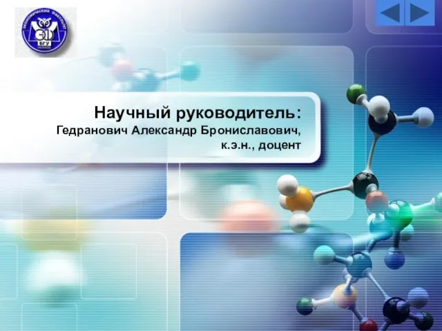 Научный руководитель: Гедранович Александр Брониславович, к.э.н., доцент