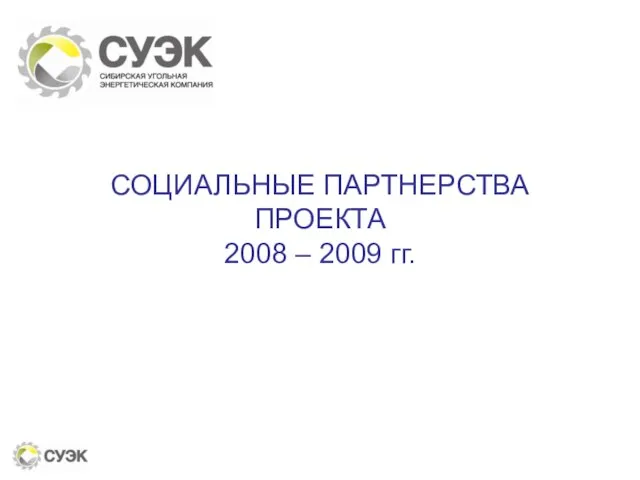 СОЦИАЛЬНЫЕ ПАРТНЕРСТВА ПРОЕКТА 2008 – 2009 гг.