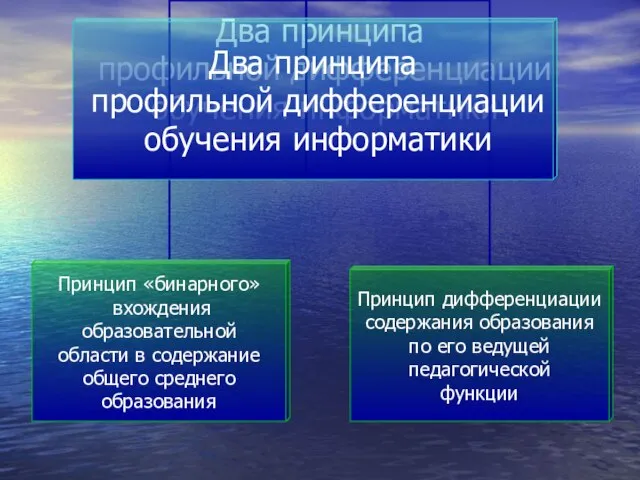 Два принципа профильной дифференциации обучения информатики