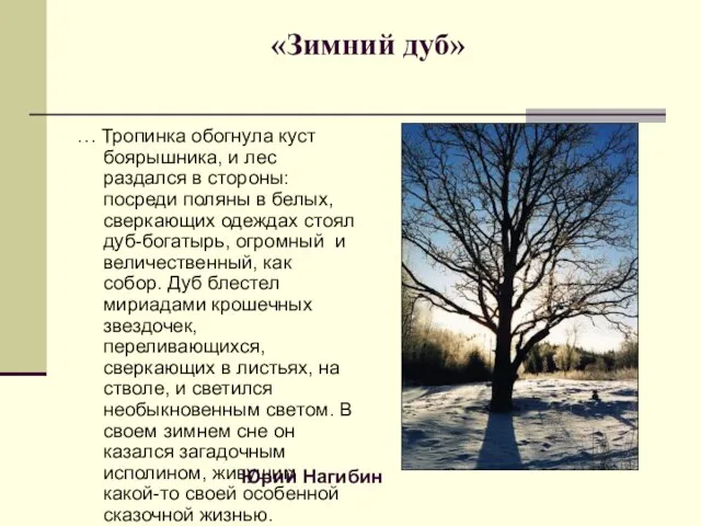 «Зимний дуб» … Тропинка обогнула куст боярышника, и лес раздался в стороны: