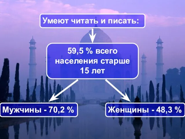 59,5 % всего населения старше 15 лет Умеют читать и писать: Женщины