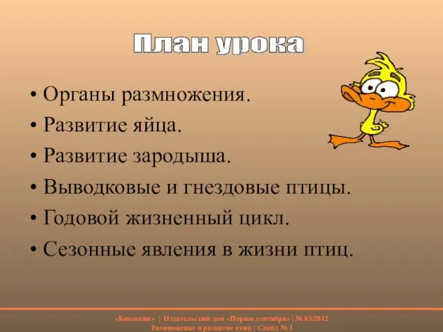 Органы размножения. Развитие яйца. Развитие зародыша. Выводковые и гнездовые птицы. Годовой жизненный