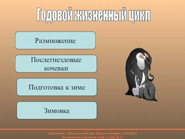 Годовой жизненный цикл Размножение Послегнездовые кочевки Подготовка к зиме Зимовка «Биология» |