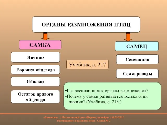 ОРГАНЫ РАЗМНОЖЕНИЯ ПТИЦ САМКА САМЕЦ Работа с учебником Яичник Семенники Учебник, с.