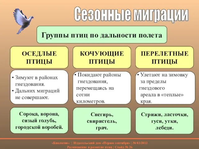 Сезонные миграции Группы птиц по дальности полета ОСЕДЛЫЕ ПТИЦЫ КОЧУЮЩИЕ ПТИЦЫ ПЕРЕЛЕТНЫЕ