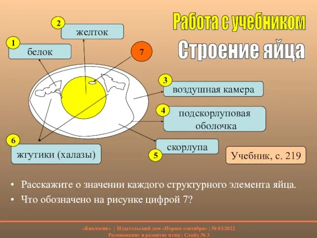 Расскажите о значении каждого структурного элемента яйца. Что обозначено на рисунке цифрой