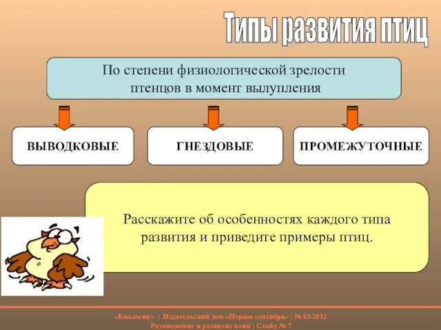 Типы развития птиц По степени физиологической зрелости птенцов в момент вылупления ВЫВОДКОВЫЕ