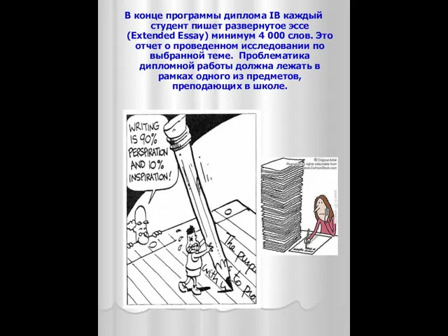 В конце программы диплома IB каждый студент пишет развернутое эссе (Extended Essay)