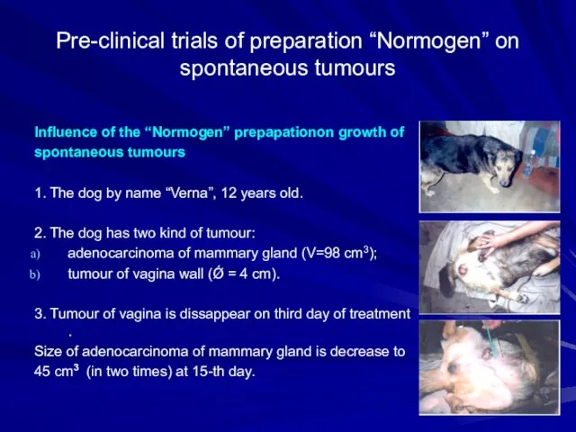 Pre-clinical trials of preparation “Normogen” on spontaneous tumours Influence of the “Normogen”