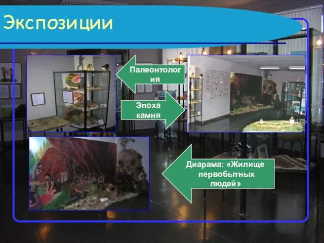 Экспозиции Палеонтология Эпоха камня Диарама: «Жилище первобытных людей»