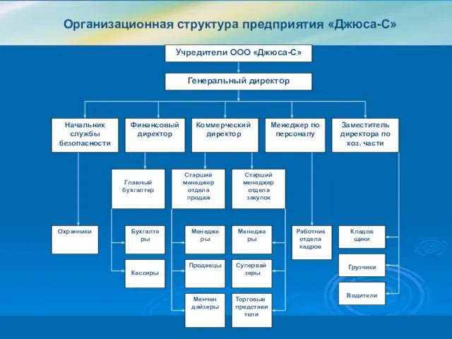 Организационная структура предприятия «Джюса-С»