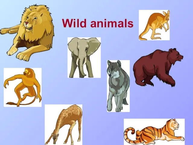 Wild animals