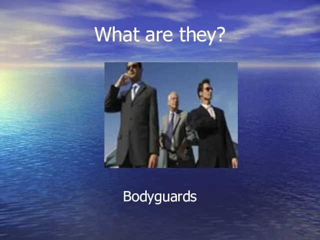 What are they? Bodyguards