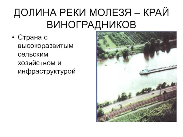 ДОЛИНА РЕКИ МОЛЕЗЯ – КРАЙ ВИНОГРАДНИКОВ Страна с высокоразвитым сельским хозяйством и инфраструктурой