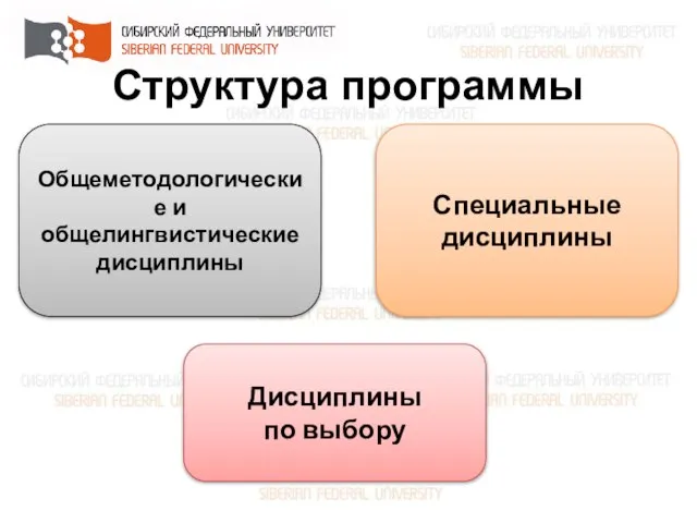 Структура программы Общеметодологические и общелингвистические дисциплины Специальные дисциплины Дисциплины по выбору