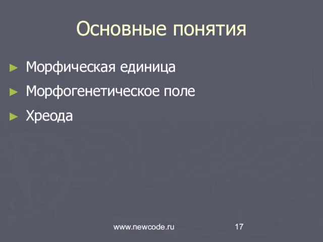 www.newcode.ru Основные понятия Морфическая единица Морфогенетическое поле Хреода