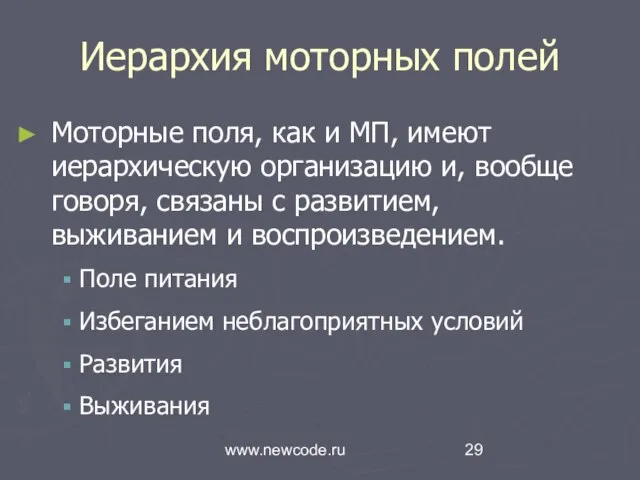 www.newcode.ru Иерархия моторных полей Моторные поля, как и МП, имеют иерархическую организацию