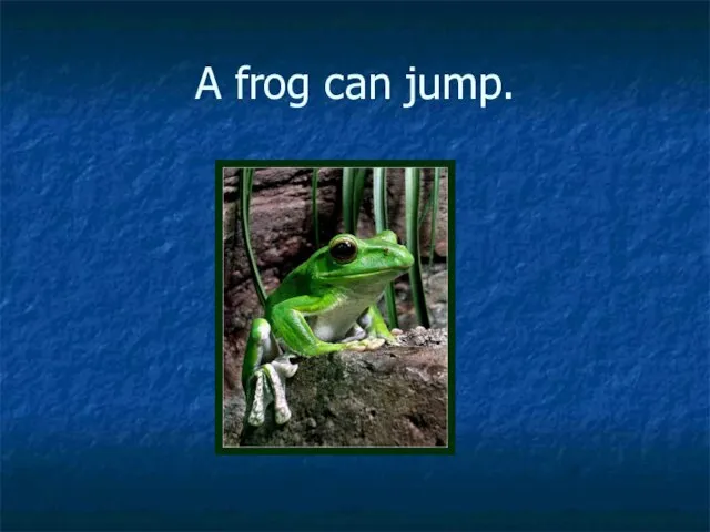 A frog can jump.