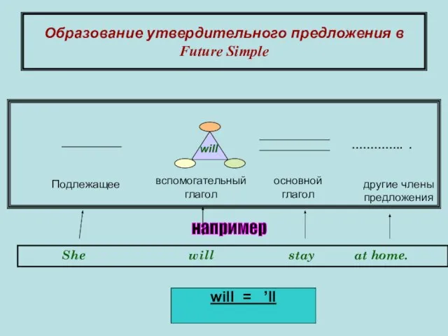 Образование утвердительного предложения в Future Simple ………….. . вспомогательный глагол Подлежащее основной