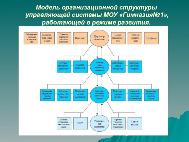 Модель организационной структуры управляющей системы МОУ «Гимназия№1», работающей в режиме развития.