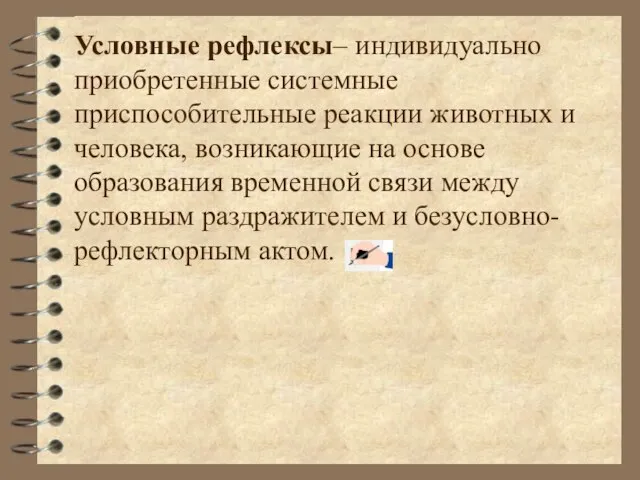 Условные рефлексы– индивидуально приобретенные системные приспособительные реакции животных и человека, возникающие на