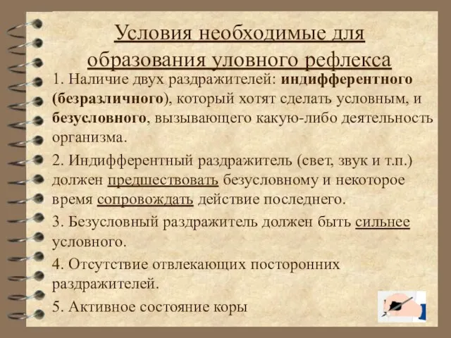 Условия необходимые для образования уловного рефлекса 1. Наличие двух раздражителей: индифферентного (безразличного),