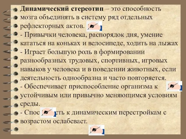 Динамический стереотип – это способность мозга объединять в систему ряд отдельных рефлекторных