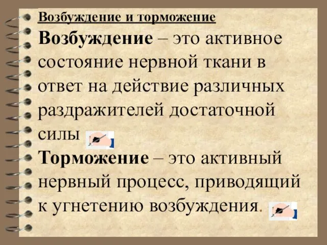 Возбуждение и торможение Возбуждение – это активное состояние нервной ткани в ответ