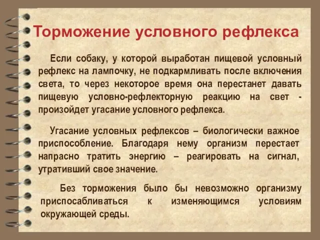 Торможение условного рефлекса Если собаку, у которой выработан пищевой условный рефлекс на