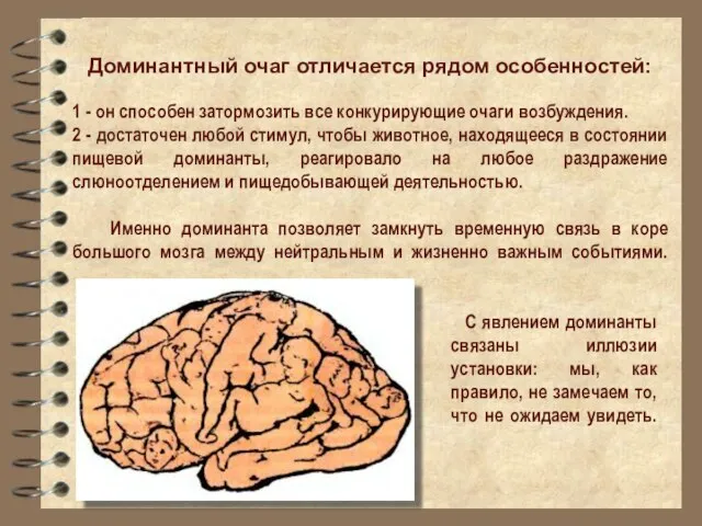 Доминантный очаг отличается рядом особенностей: 1 - он способен затормозить все конкурирующие