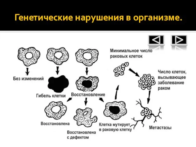 Генетические нарушения в организме.