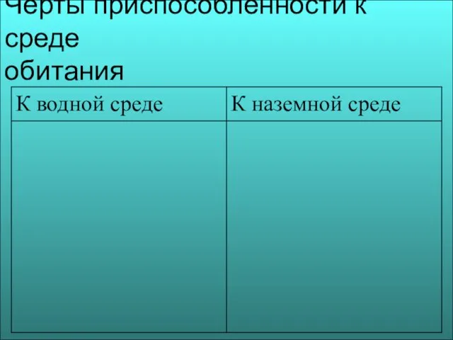 Черты приспособленности к среде обитания