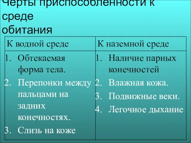 Черты приспособленности к среде обитания