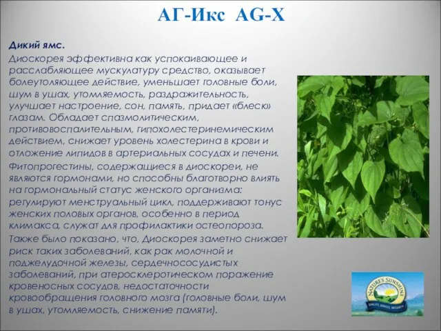 АГ-Икс AG-X Дикий ямс. Диоскорея эффективна как успокаивающее и расслабляющее мускулатуру средство,
