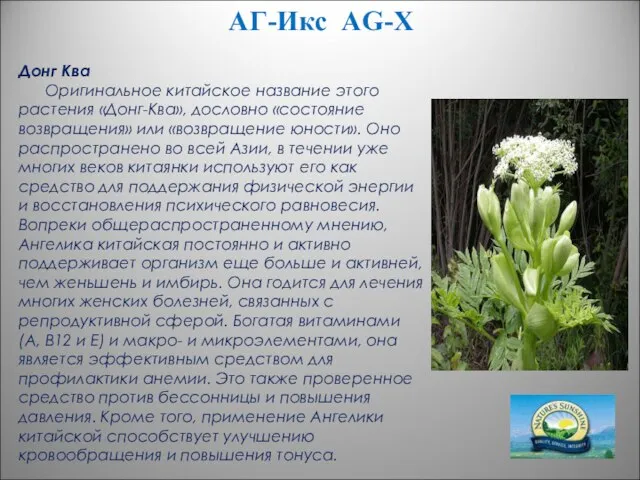 АГ-Икс AG-X Донг Ква Оригинальное китайское название этого растения «Донг-Ква», дословно «состояние