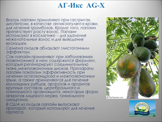АГ-Икс AG-X Внутрь папаин применяют при гастритах, диспепсии, в качестве антикоагулянта крови,