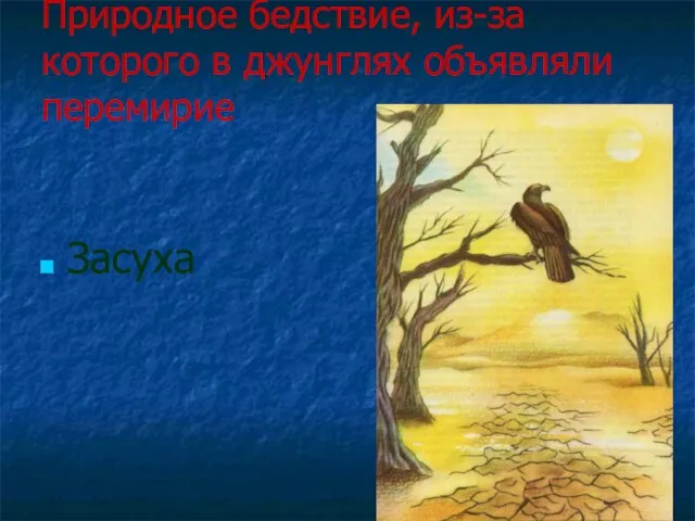 Природное бедствие, из-за которого в джунглях объявляли перемирие Засуха