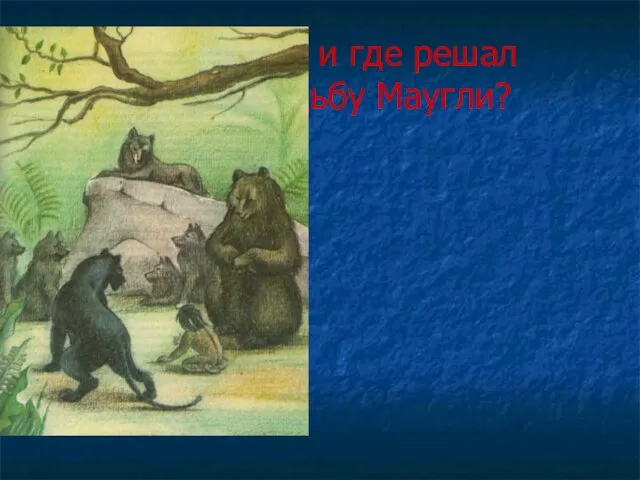 Кто и где решал судьбу Маугли?