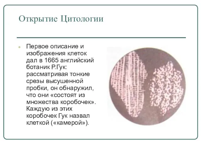 Открытие Цитологии Первое описание и изображения клеток дал в 1665 английский ботаник