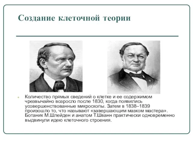 Создание клеточной теории Количество прямых сведений о клетке и ее содержимом чрезвычайно