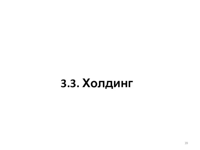 3.3. Холдинг