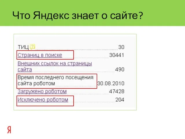 Что Яндекс знает о сайте?
