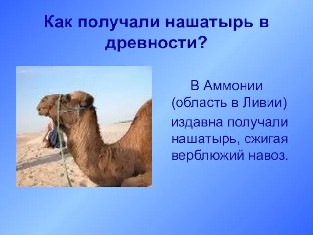 Как получали нашатырь в древности? В Аммонии (область в Ливии) издавна получали нашатырь, сжигая верблюжий навоз.