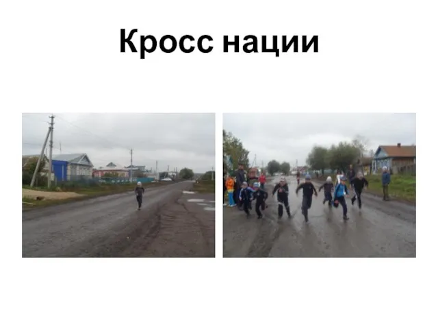 Кросс нации