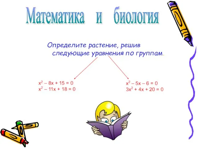 Определите растение, решив следующие уравнения по группам. х2 – 5х – 6