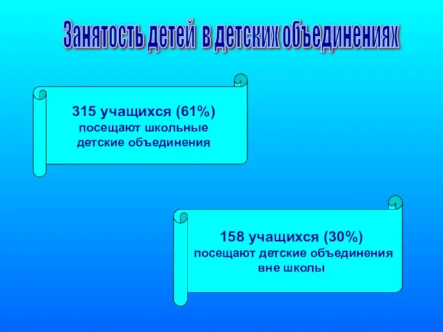 Занятость детей в детских объединениях 315 учащихся (61%) посещают школьные детские объединения