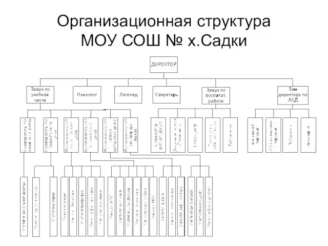 Организационная структура МОУ СОШ № х.Садки