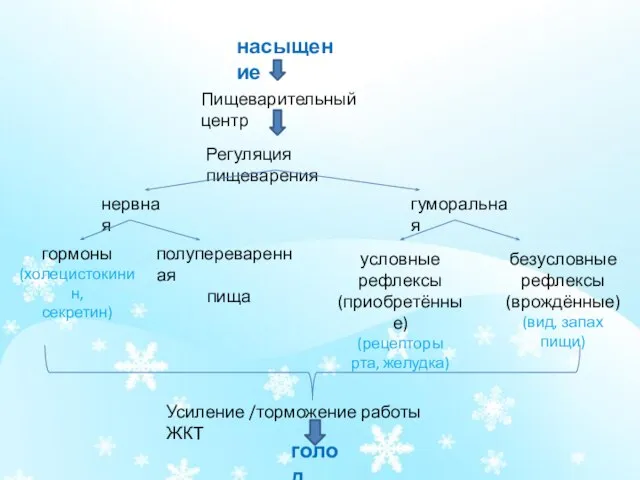 голод Пищеварительный центр Регуляция пищеварения нервная гуморальная условные рефлексы (приобретённые) (рецепторы рта,