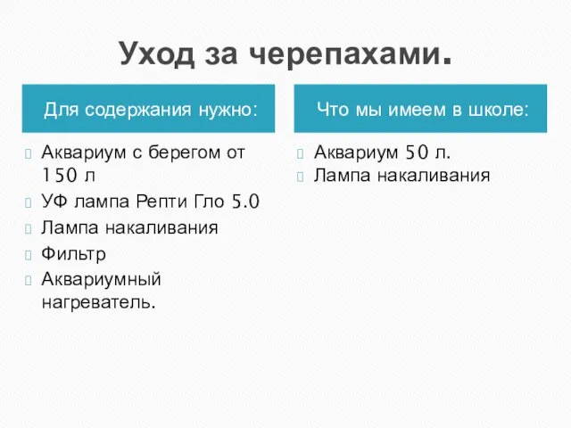 Уход за черепахами. Для содержания нужно: Что мы имеем в школе: Аквариум